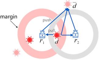 Prediction of drug–disease associations based on reinforcement symmetric metric learning and graph convolution network